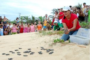 Os visitantes também podem acompanhar a soltura de filhotes de tartaruga, que acontece principalmente nos meses de janeiro e fevereiro.