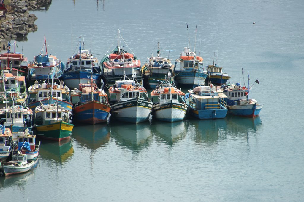 Pesca de alguns peixes é liberada durante um ano em todo o Brasil