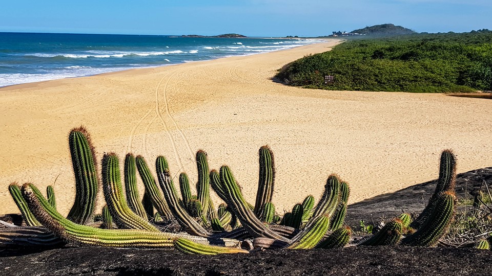 Iema Parque Paulo Cesar Vinha - Parque Paulo César Vinha, em Guarapari, terá mudanças no funcionamento neste fim de ano