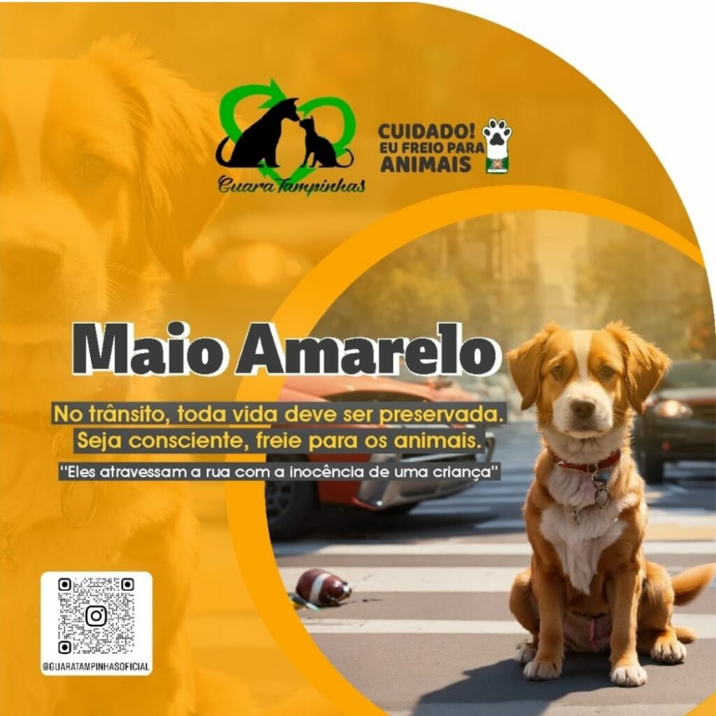 WhatsApp Image 2024 05 08 at 21.53.28 - Projeto Guaratampinhas realiza campanha de conscientização sobre mortes de animais no trânsito