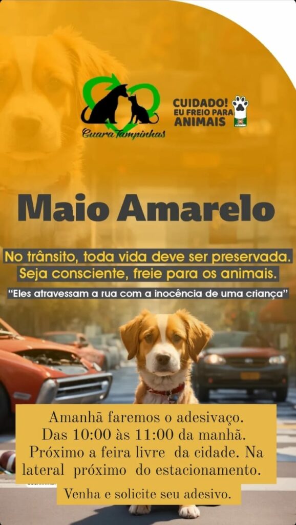 WhatsApp Image 2024 05 17 at 07.43.28 - Projeto Guaratampinhas realiza campanha de conscientização sobre mortes de animais no trânsito