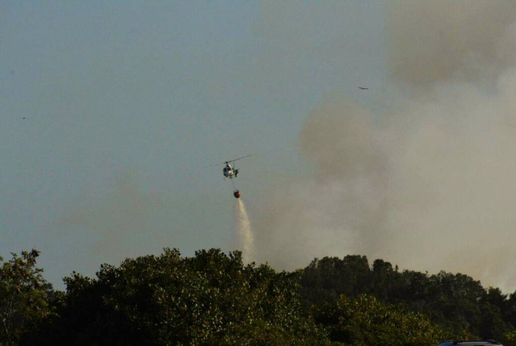 05fa29a0 7075 11ef 8e9d 4ba4c0335cfc minified - Parque Paulo César Vinha tem visitação suspensa devido ao incêndio na APA de Setiba, em Guarapari