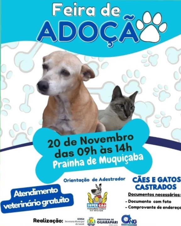 Feira de adocao 2 - Guarapari promove feira de adoção de cães e gatos nesta quarta-feira (20)