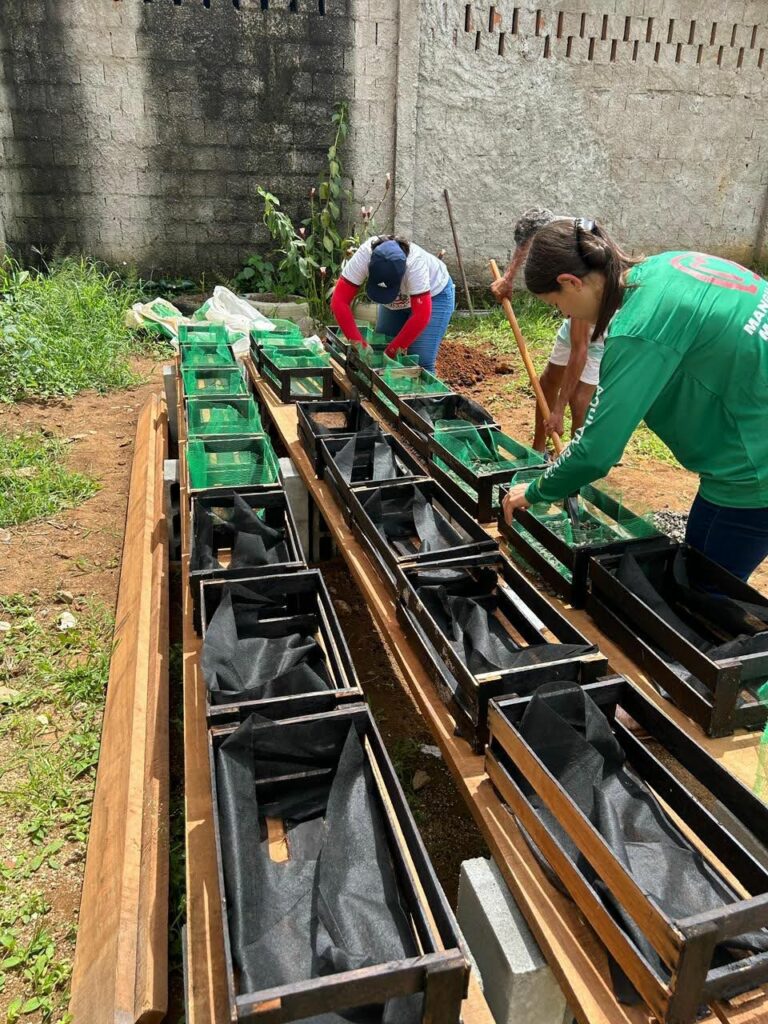 horta centro pop 2 - Centro POP de Guarapari inicia horta comunitária para promover inclusão e segurança alimentar