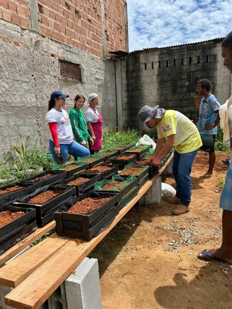 horta centro pop - Centro POP de Guarapari inicia horta comunitária para promover inclusão e segurança alimentar