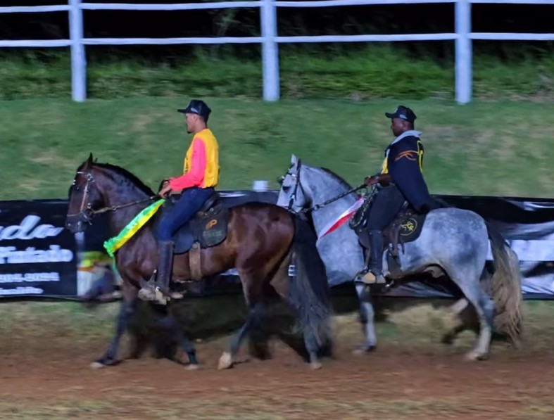 Expoverao guarapari cavalos - Guarapari recebe IX Expo Verão com leilão de cavalos e shows ao vivo