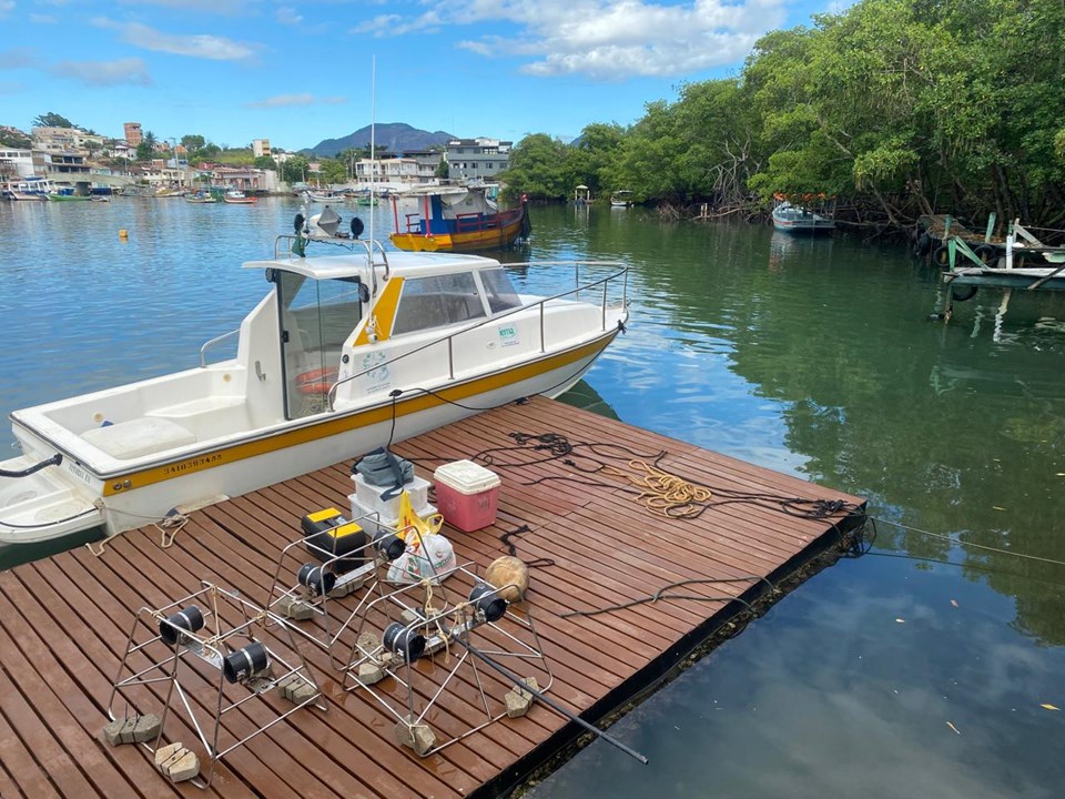 Pesquisa peixes iema - Pesquisa sobre peixes recifais identifica 143 espécies nas ilhas de Guarapari