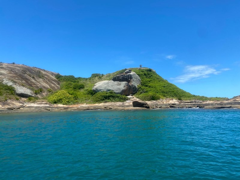 Pesquisa peixes ilha - Pesquisa sobre peixes recifais identifica 143 espécies nas ilhas de Guarapari