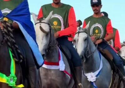 expo verão cavalos capa