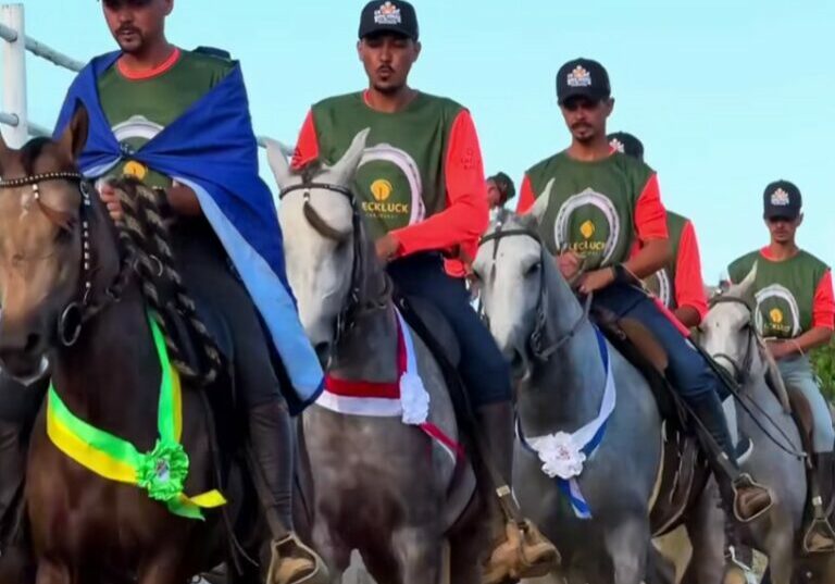 expo verão cavalos capa