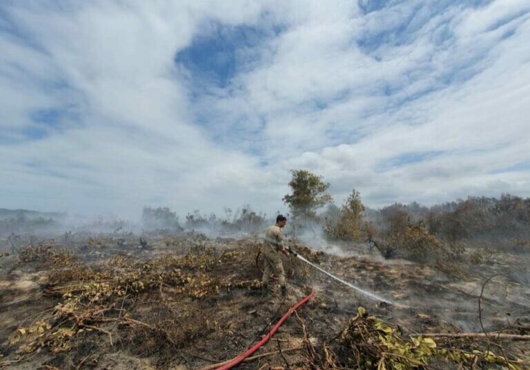 incendio-paulo-cesar-vinha-bombeiros