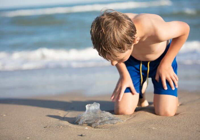 um-menino-perto-do-mar-examina-uma-crianca-de-agua-viva-descansando-na-praia_186673-6401